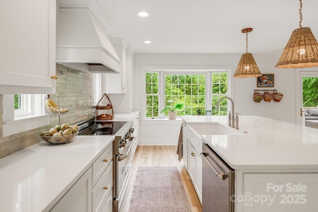 92 Rose Hill Rd, Asheville, NC 28803 - kitchen featuring stainless steel appliances, custom range hood, a sink, light wood finished floors, and healthy amount of natural light