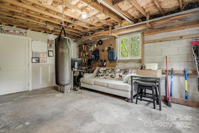 92 Rose Hill Rd, Asheville, NC 28803 - view of basement