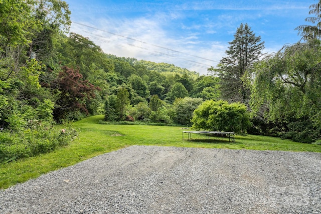 92 Rose Hill Rd, Asheville, NC 28803 - view of property's community with a trampoline, a yard, and a view of trees