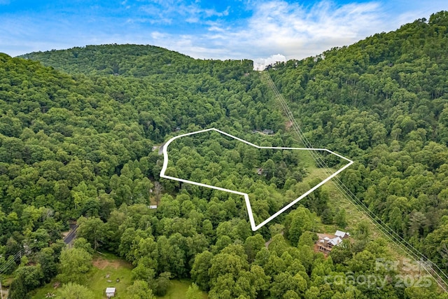 92 Rose Hill Rd, Asheville, NC 28803 - aerial view of property's location with a heavily wooded area and property parcel outlined