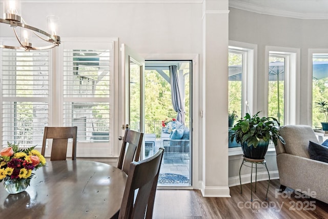 1260 Thomas Knapp Pkwy, Fort Mill, SC 29715 - interior space with an inviting chandelier, crown molding, wood finished floors, and a healthy amount of sunlight