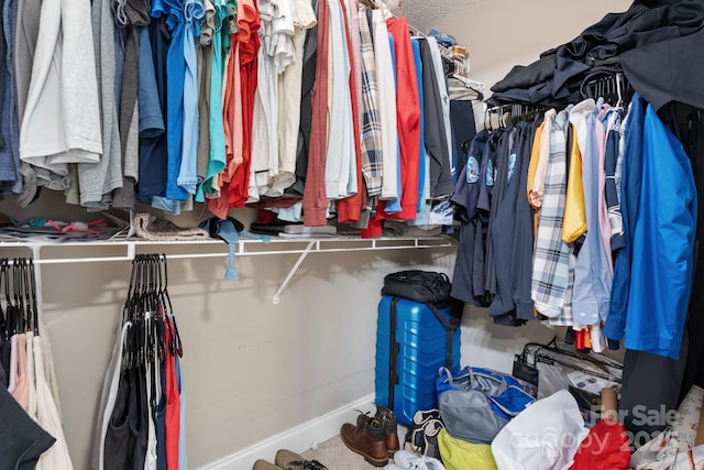 view of spacious closet