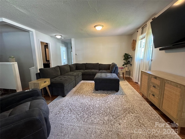 living area featuring a textured ceiling, radiator heating unit, and dark wood-type flooring