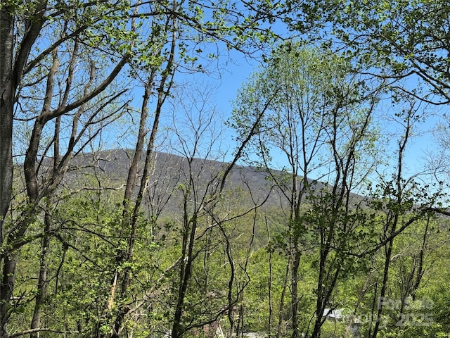 view of mountain feature with a forest view