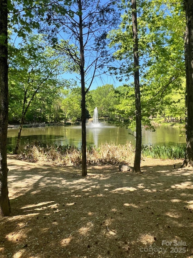 3133 English Sparrow Ln, Charlotte, NC 28210 - view of water feature