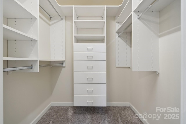 spacious closet with carpet flooring