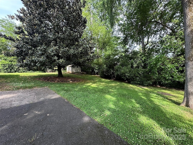 view of yard featuring a storage shed and an outbuilding