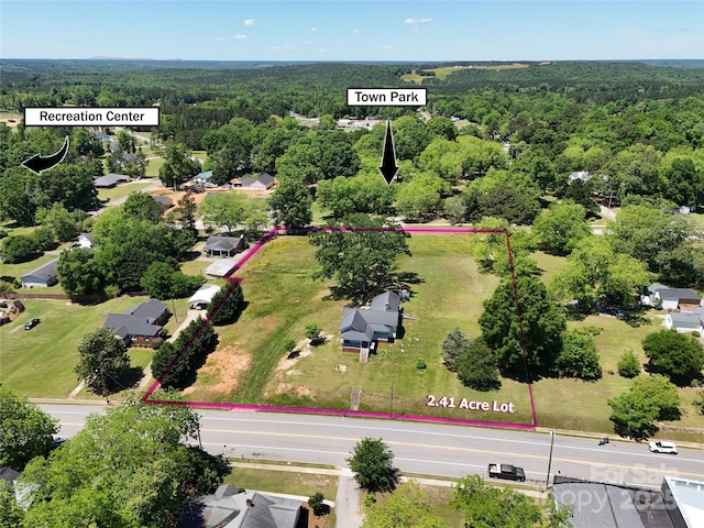 213 S Main St, Jefferson, SC 29718 - aerial view of property's location with property boundaries highlighted and a forest