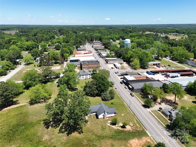 213 S Main St, Jefferson, SC 29718 - aerial view of a forest