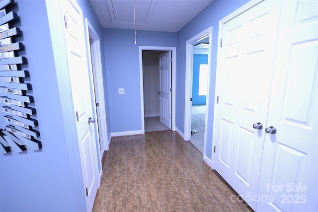 6614 Wicked Oak Ln, Charlotte, NC 28216 - hallway with attic access and dark wood-style floors