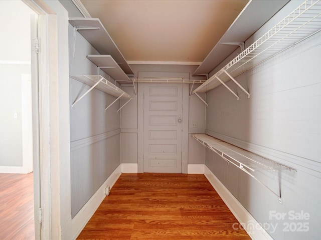walk in closet with wood finished floors