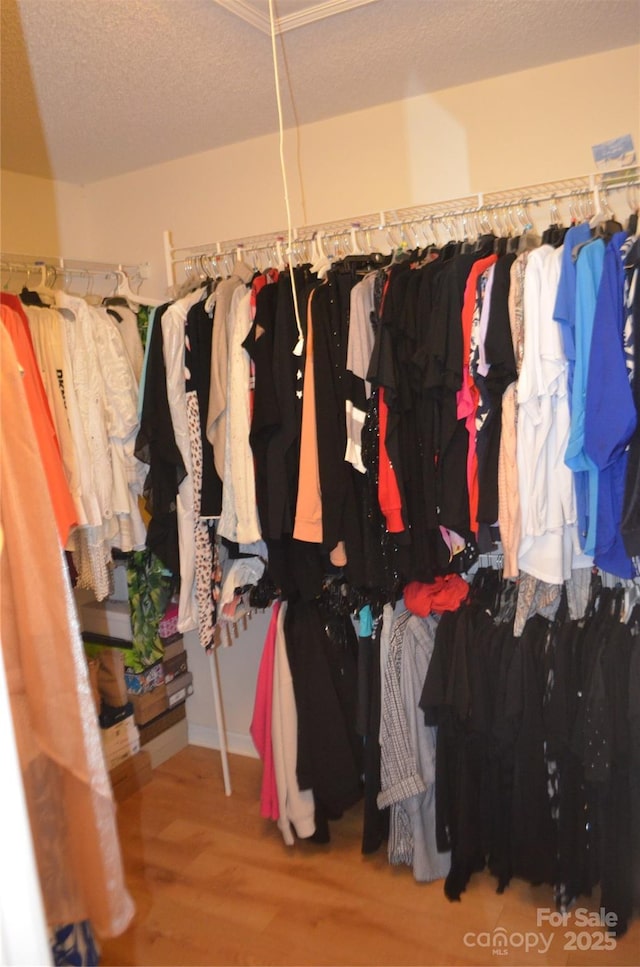 spacious closet featuring wood finished floors