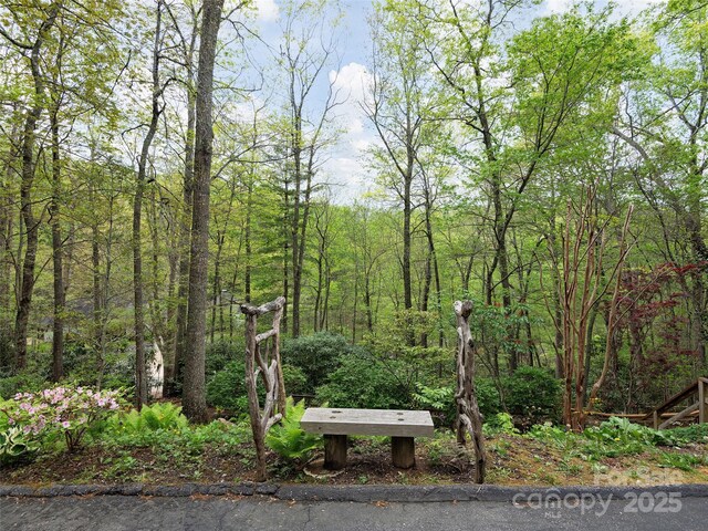 221 Holland Dr, Black Mountain, NC 28711 - view of property's community featuring a wooded view