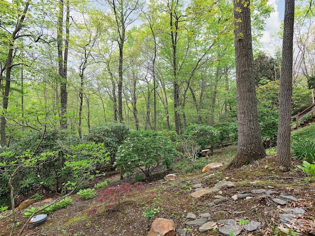 221 Holland Dr, Black Mountain, NC 28711 - view of landscape with a view of trees