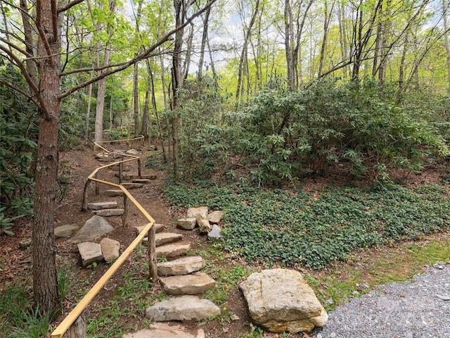 221 Holland Dr, Black Mountain, NC 28711 - view of yard with a view of trees