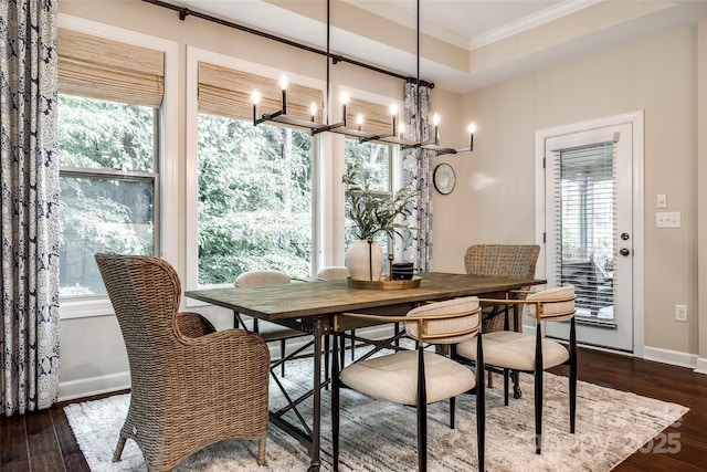 dining area with crown molding, a chandelier, dark wood-style floors, and plenty of natural light