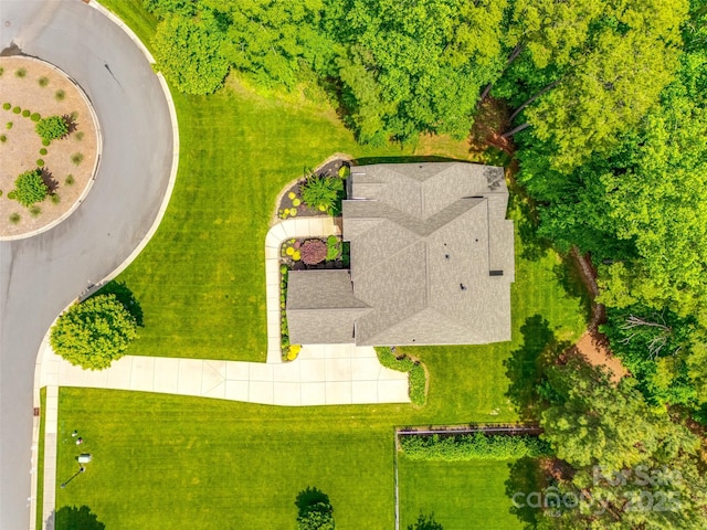 bird's eye view