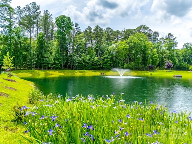 water view
