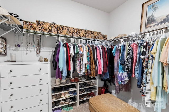 view of spacious closet