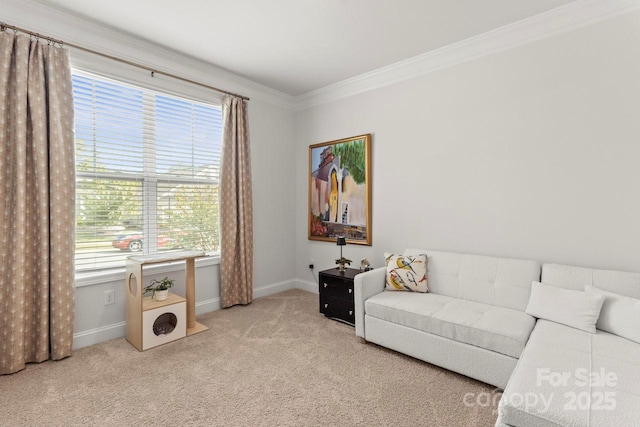 living area featuring crown molding, baseboards, and carpet flooring