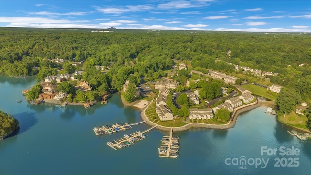 13932 Queens Harbor Rd, Charlotte, NC 28278 - drone / aerial view of a forest and a nearby body of water