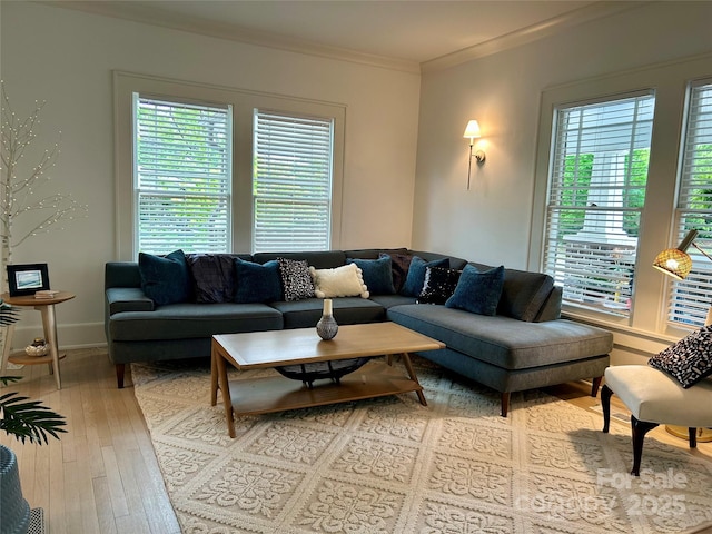 300 W Thomas St, Salisbury, NC 28144 - living area featuring crown molding and light wood-style floors