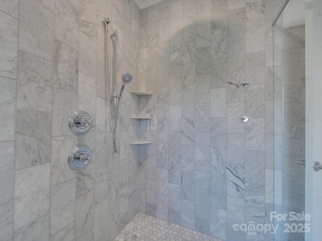 300 W Thomas St, Salisbury, NC 28144 - bathroom featuring tiled shower