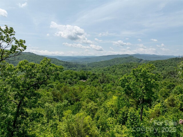 260 Arbor Woods Dr, Pisgah Forest, NC 28768 - photo 4