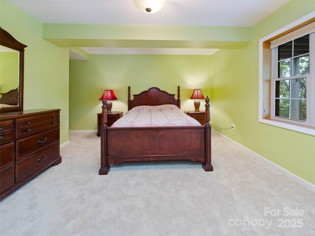 260 Arbor Woods Dr, Pisgah Forest, NC 28768 - photo 36