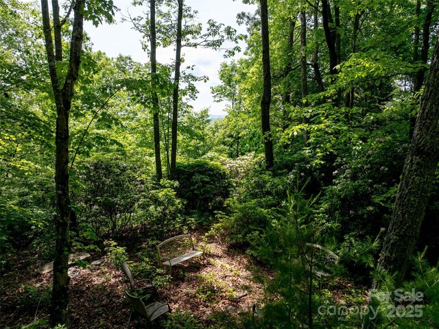 260 Arbor Woods Dr, Pisgah Forest, NC 28768 - photo 42