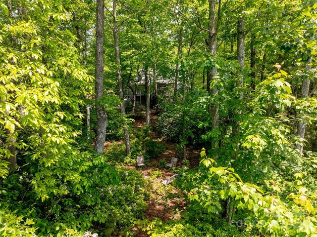 260 Arbor Woods Dr, Pisgah Forest, NC 28768 - photo 43
