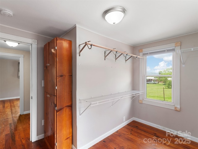 819 Mauney Cove Rd, Waynesville, NC 28786 - walk in closet with wood finished floors