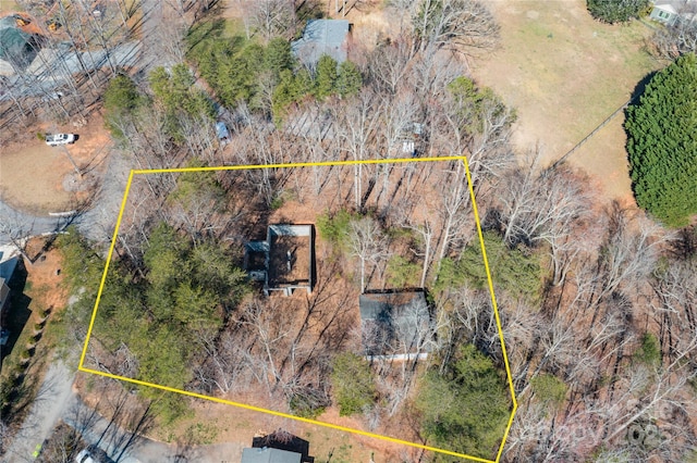 125 Mallard Dr, Columbus, NC 28722 - photo 1