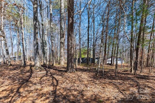 125 Mallard Dr, Columbus, NC 28722 - photo 8