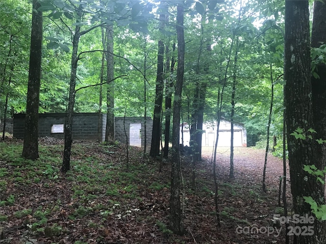 125 Mallard Dr, Columbus, NC 28722 - photo 13