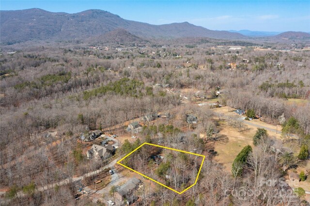 125 Mallard Dr, Columbus, NC 28722 - photo 15