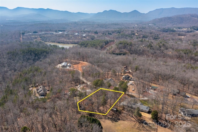 125 Mallard Dr, Columbus, NC 28722 - photo 16