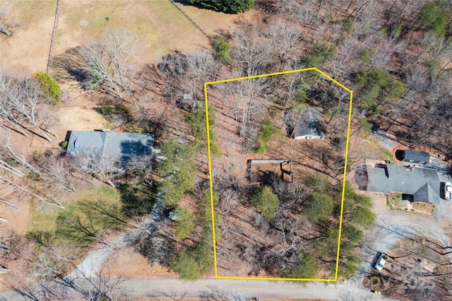 125 Mallard Dr, Columbus, NC 28722 - photo 17
