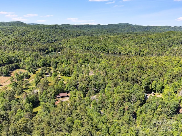1415 Little River Campground Rd, Pisgah Forest, NC 28768 - aerial view of a forest and mountains