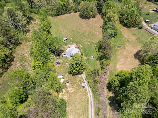 bird's eye view