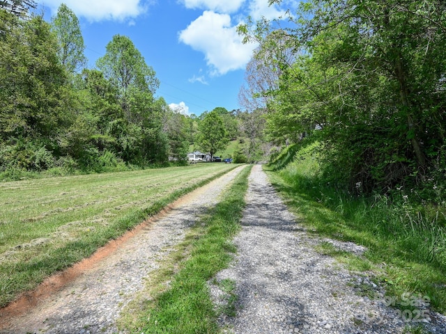 view of street with a forest view