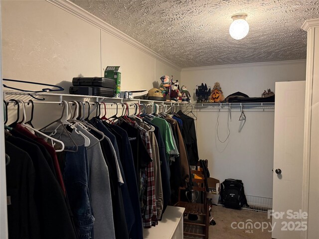 walk in closet featuring carpet flooring