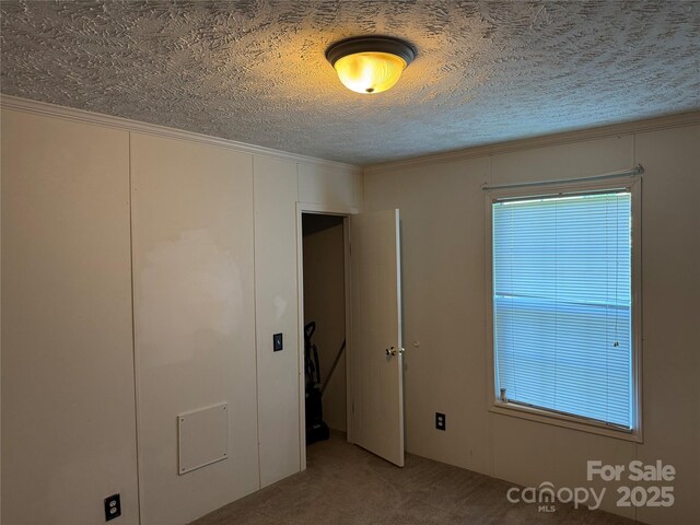 carpeted spare room with crown molding and a textured ceiling