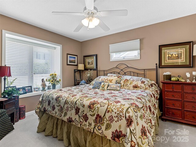27 Putter Ct, Hendersonville, NC 28739 - photo 14