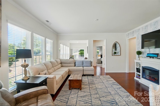 9003 Smokey Hill Ln, Fort Mill, SC 29707 - living area featuring plenty of natural light, ornamental molding, wood finished floors, baseboards, and a fireplace