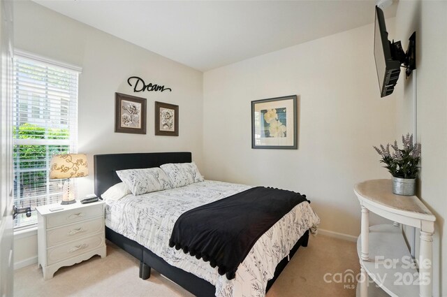 9003 Smokey Hill Ln, Fort Mill, SC 29707 - bedroom featuring light carpet and baseboards