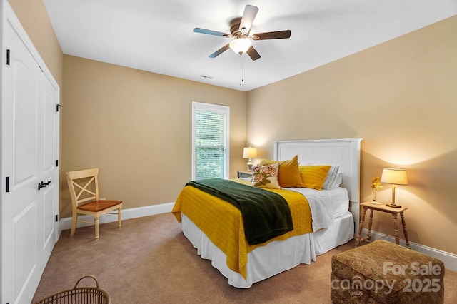 9735 Wheatfield Rd, Charlotte, NC 28277 - bedroom with baseboards, a ceiling fan, carpet flooring, and a closet