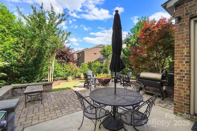 9735 Wheatfield Rd, Charlotte, NC 28277 - view of patio featuring outdoor dining area and area for grilling