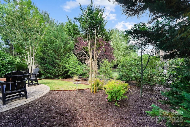 9735 Wheatfield Rd, Charlotte, NC 28277 - view of yard with a patio area and fence
