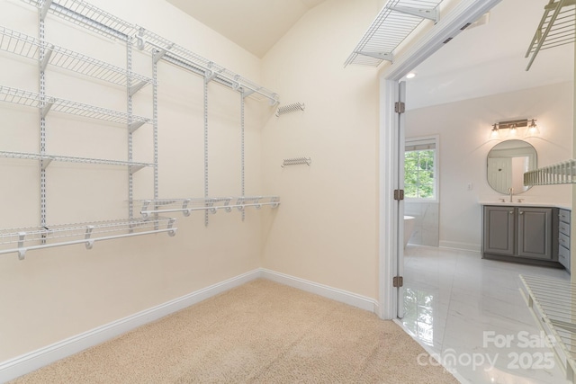 walk in closet featuring a sink and light colored carpet